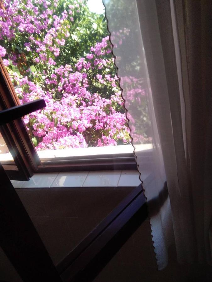 Apartments Stojanka Μεντουλίν Εξωτερικό φωτογραφία