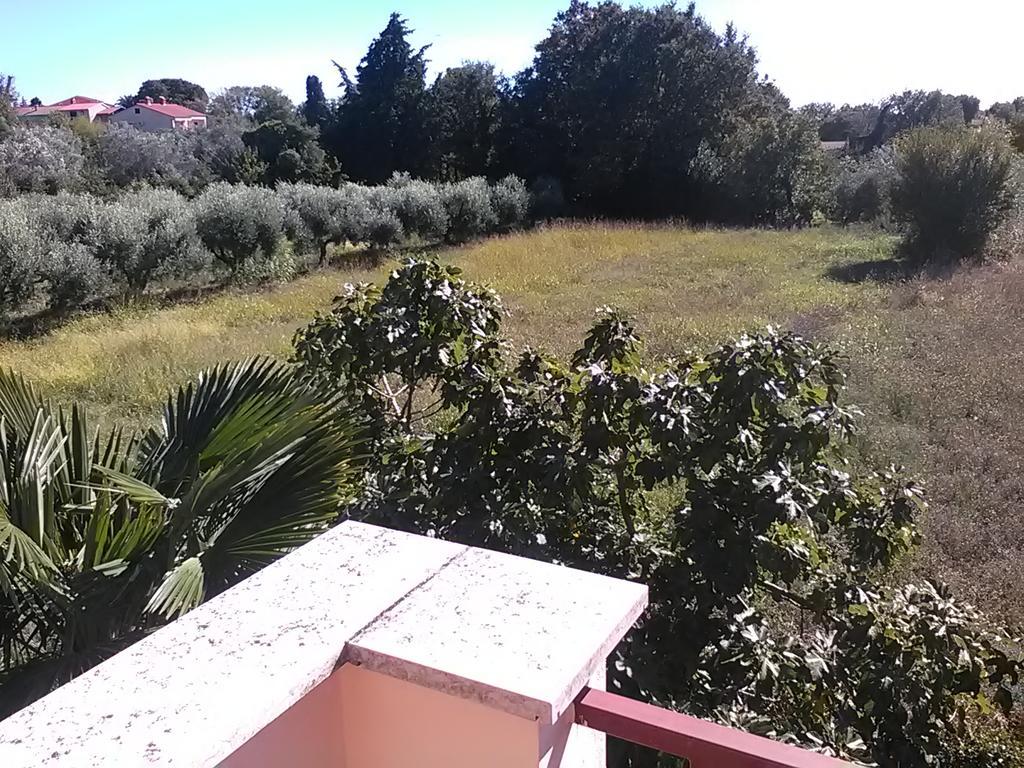 Apartments Stojanka Μεντουλίν Εξωτερικό φωτογραφία